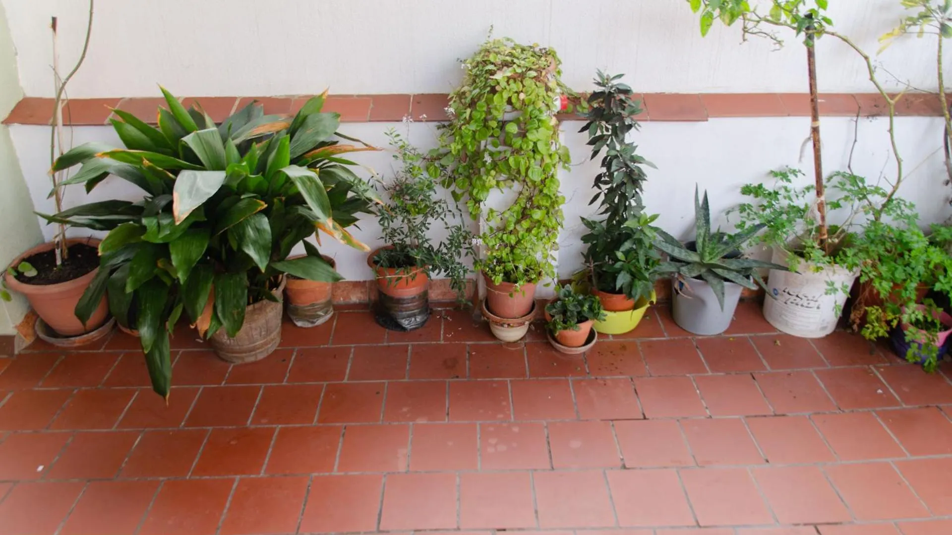 Pensionat Hospedaje Lisboa Algeciras